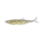 Little Jack MODELISM ZAKO 1.4" Ajing Soft Bait