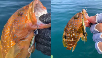 Little Jack Ignited Blade Metal Jig