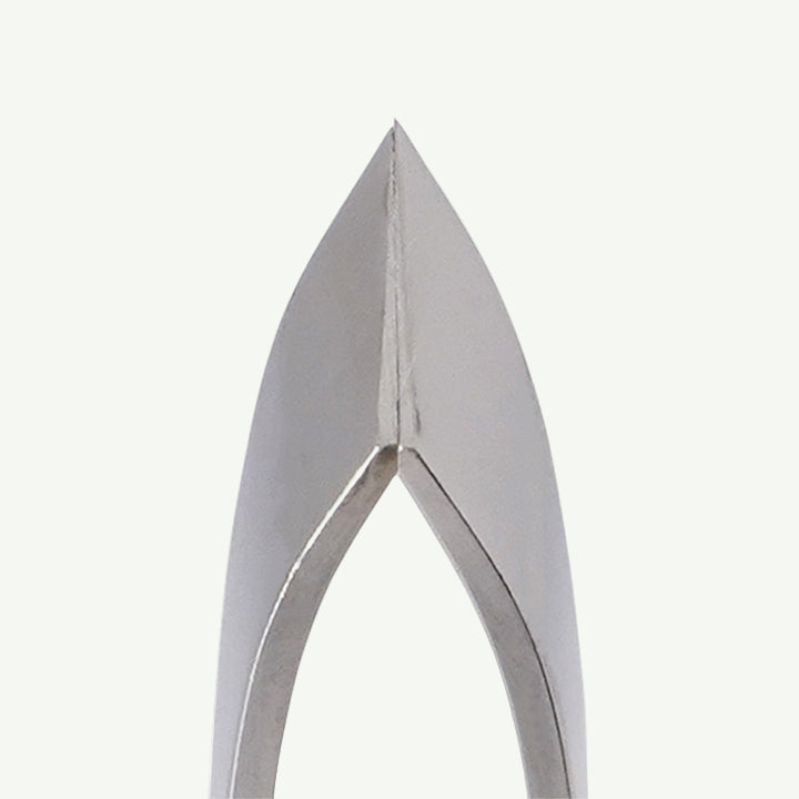 Belmont Slanted Blade Fish Bone Remover