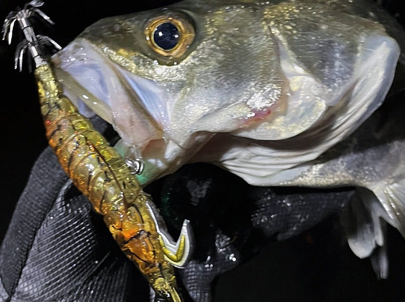 Little Jack Onliest Fish and Squid Jig
