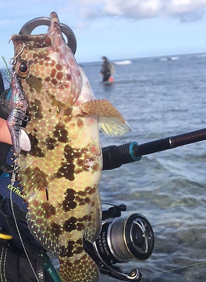 Little Jack HanebiX-50 Shrimp Micro Jig