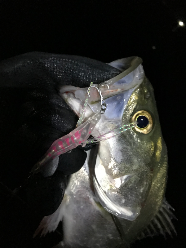 Little Jack HanebiX-50 Shrimp Micro Jig
