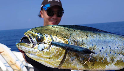 Little Jack SEGROCK Topwater Prop Bait